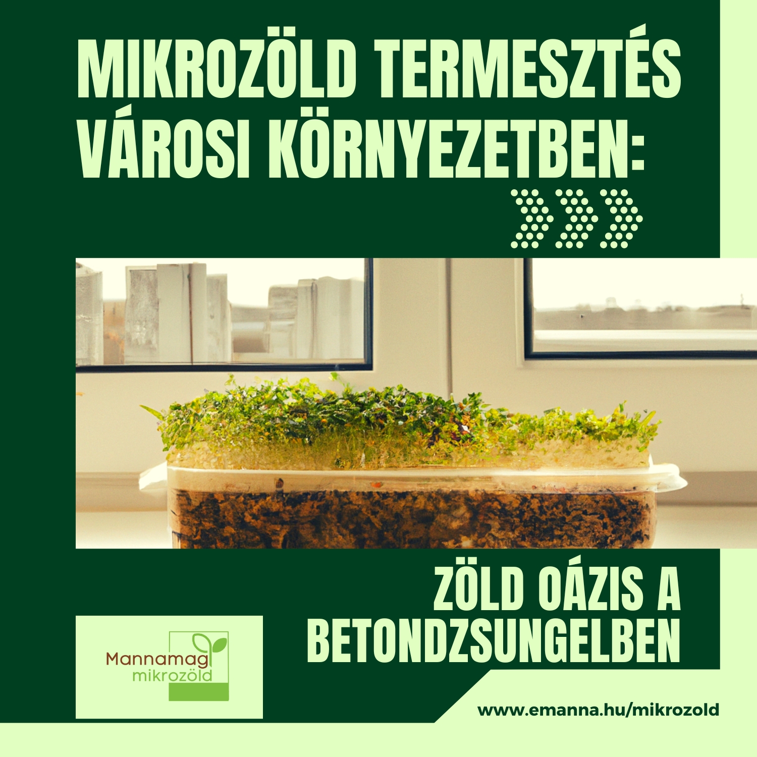 Mikrozöld termesztés városi környezetben: Zöld oázis a betondzsungelben