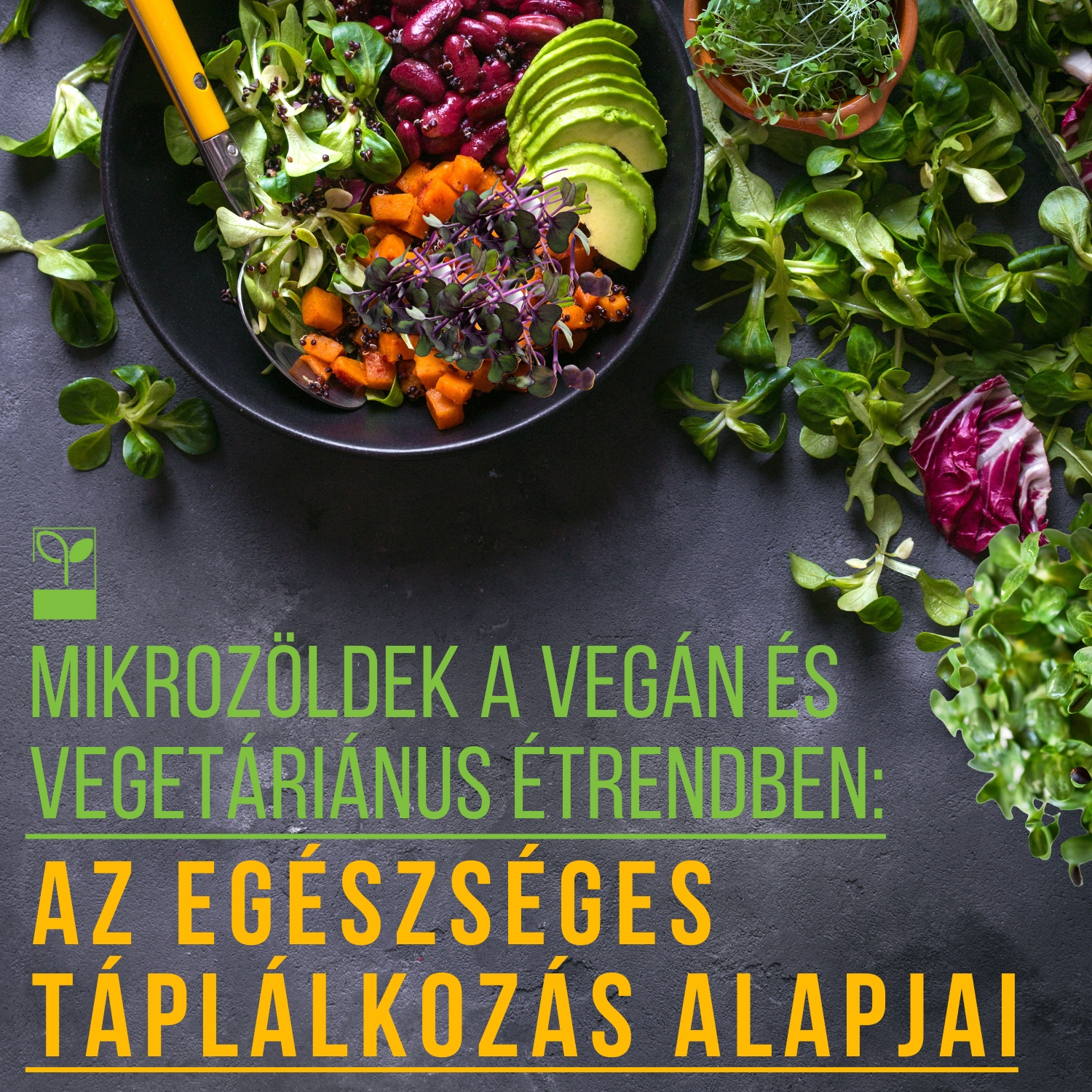 Mikrozöldek a vegán és vegetáriánus étrendben: Az egészséges táplálkozás alapjai